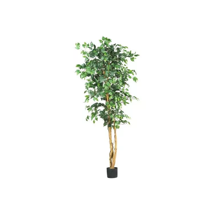 6ft Eternally Verdant Ficus Silk Tree - Nearly Natural