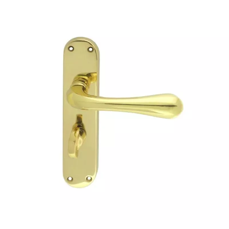 Astro Lever on Backplate