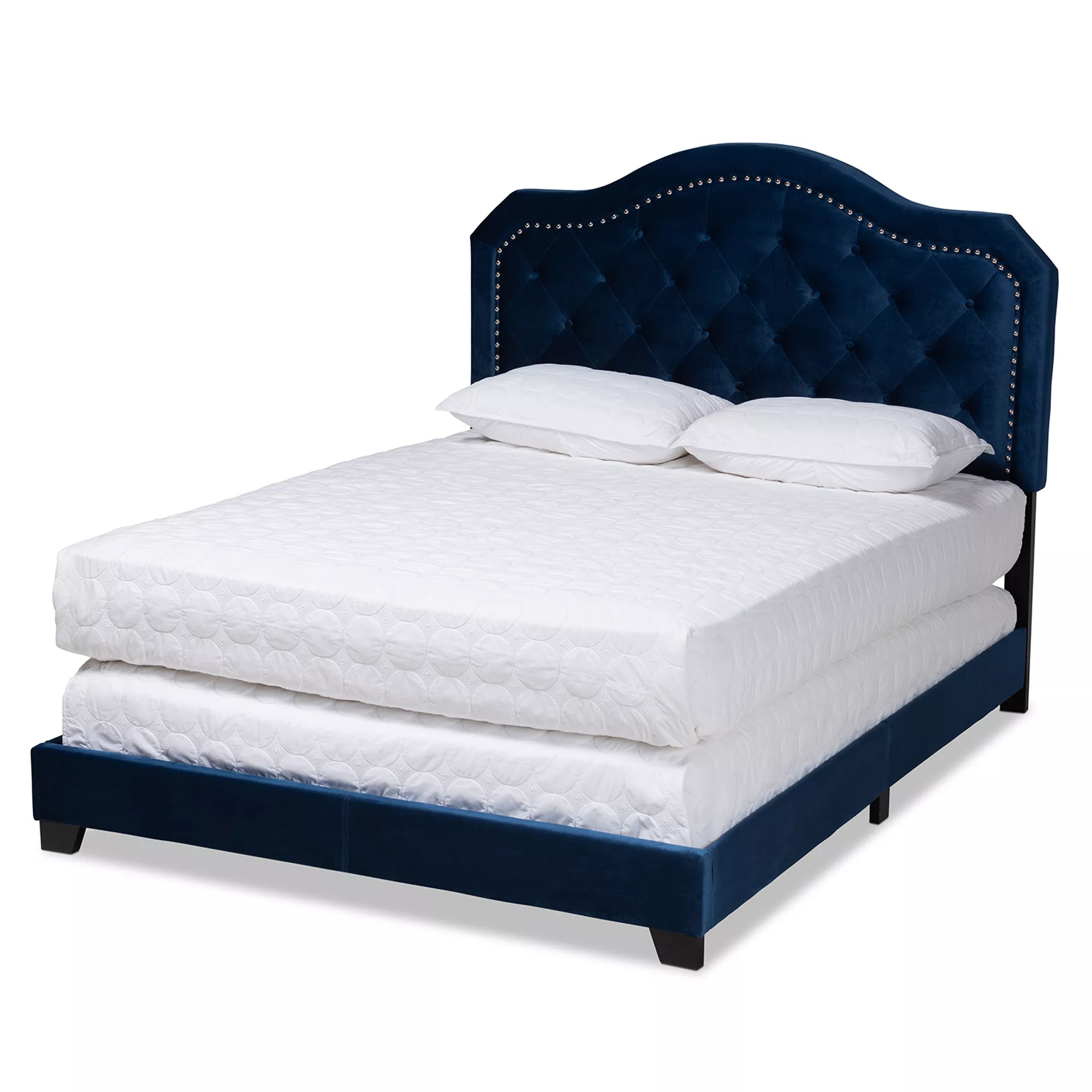 Baxton Studio Samantha Modern Navy Velvet Fabric Upholstered Queen Size Button Tufted Bed