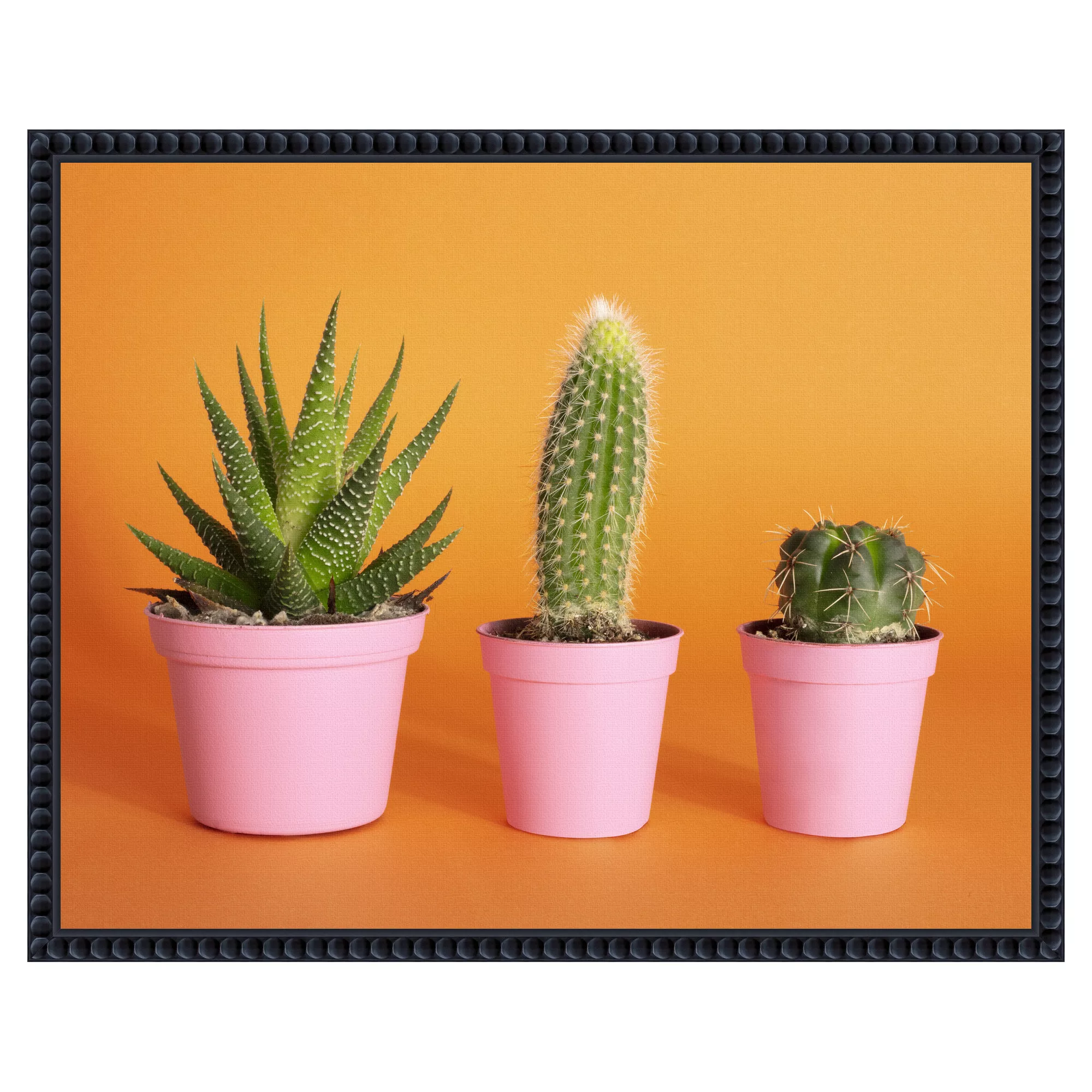Cactus.2 by Julia Ramiro Framed Canvas Wall Art