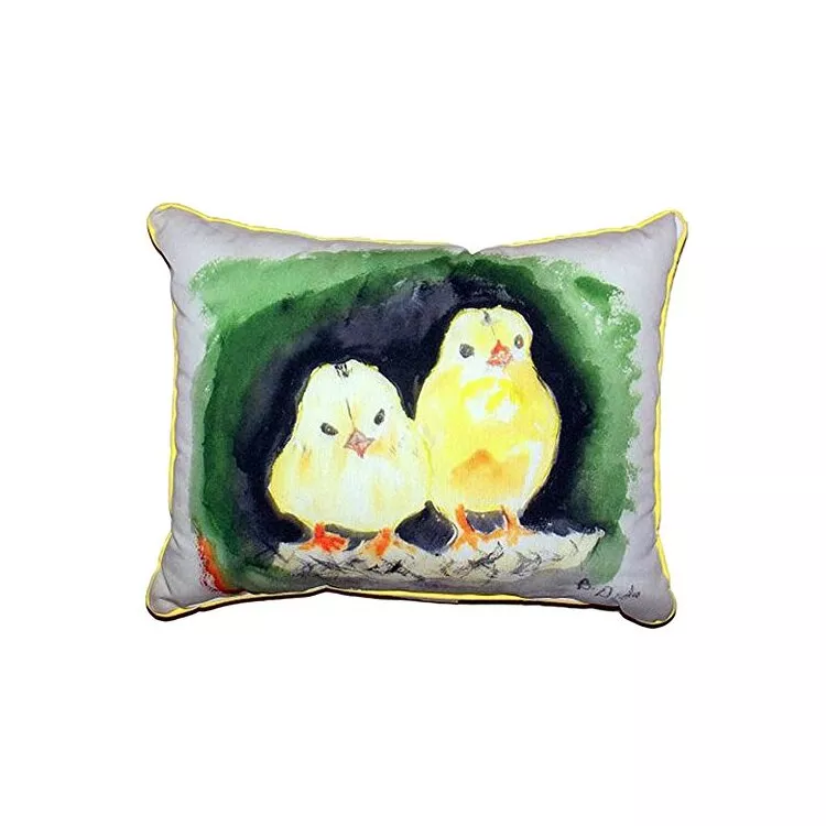 Chicks Extra Large Zippered Pillow 20x24