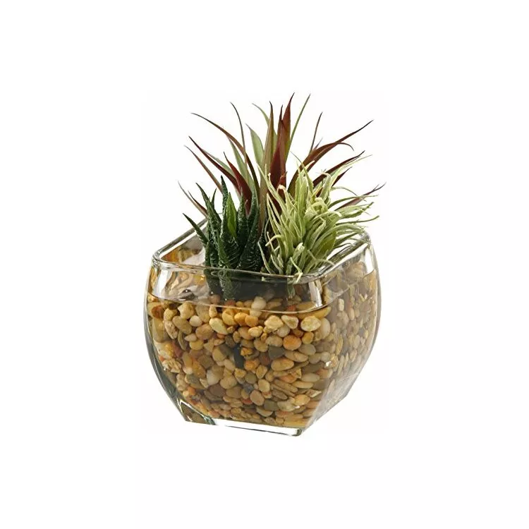 D&W Silks Aloe Plant with Easter Grass in Glass Cube - Unique Decor