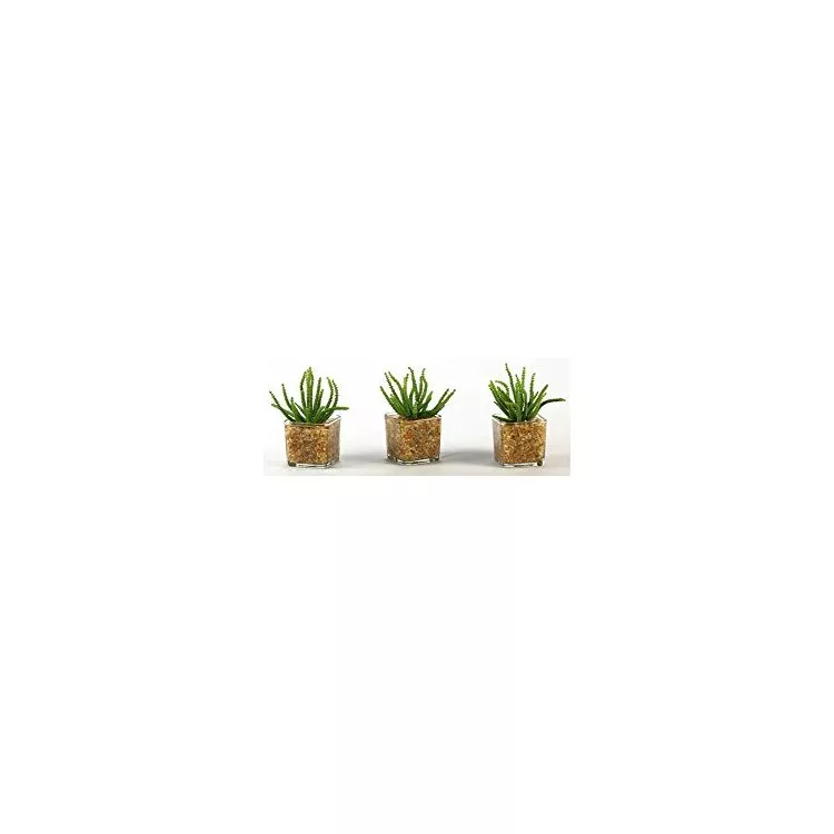 D&W Silks Worm Succulent Glass Cube Set - 3 Decorative Plants
