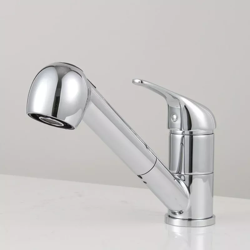 Davison Single-Hole Pull-Out Kitchen Faucet