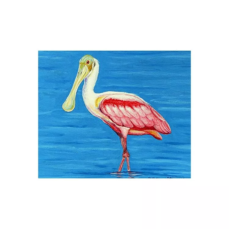Dick's Spoonbill Door Mat 30x50