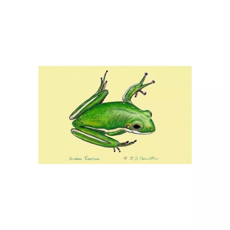 Green Tree Frog Door Mat 30x50