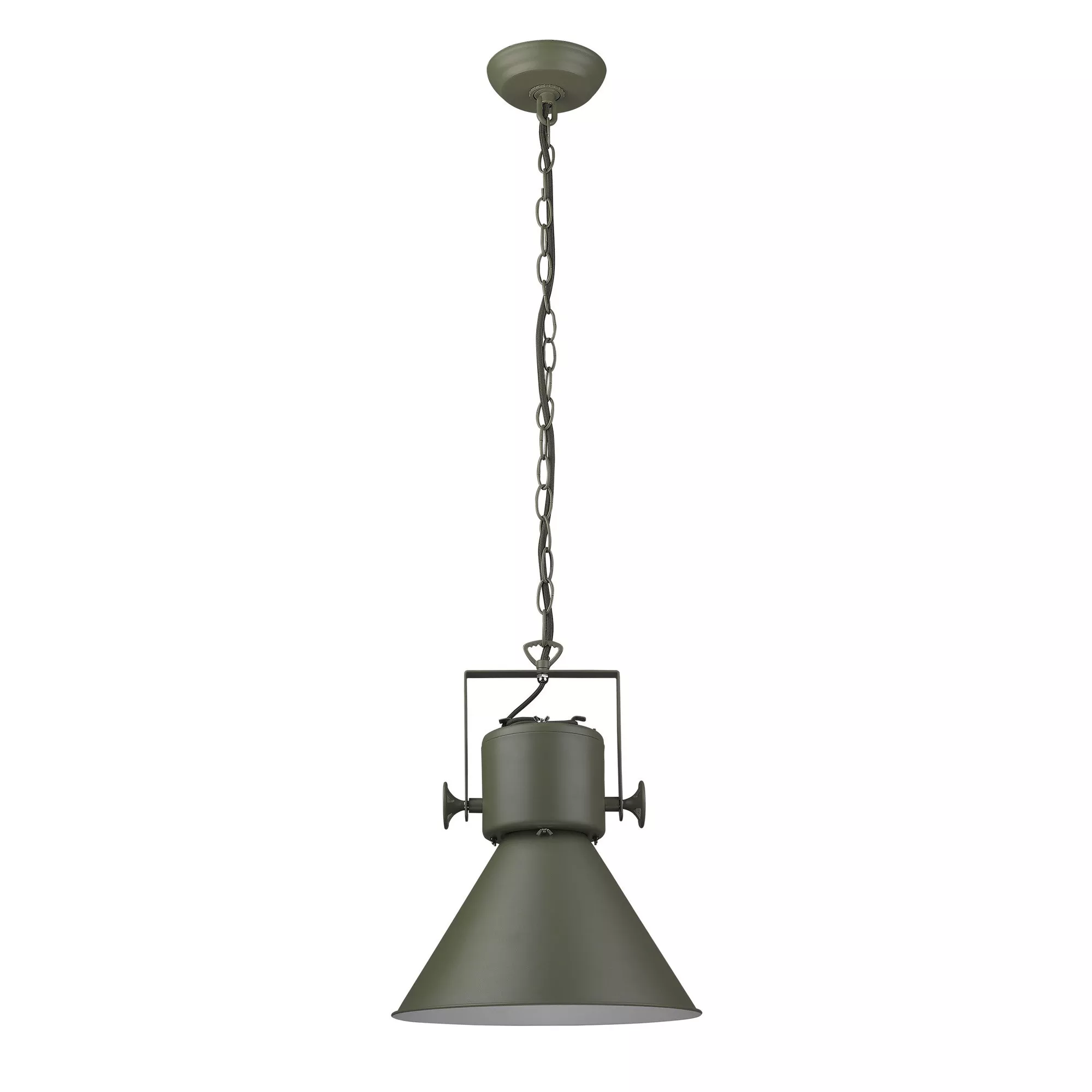 HomeRoots Crew 1-Light Green Pendant