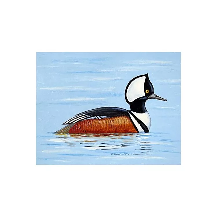 Hooded Merganser Door Mat 18x26