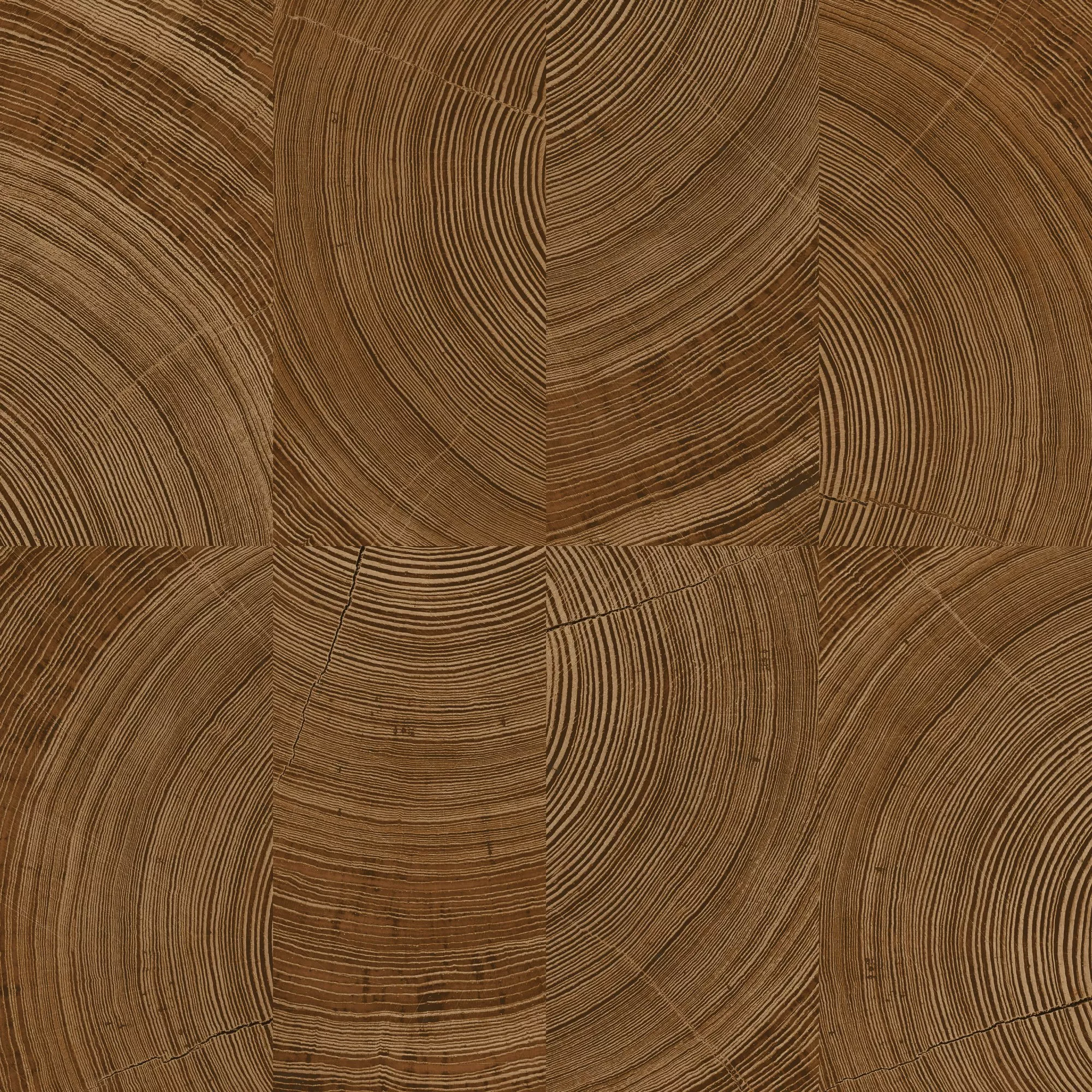 Karuna Photographic Motive Brown Wallpaper KRA69102