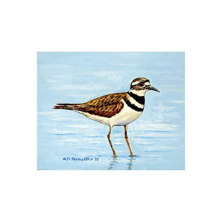 Killdeer Place Mat Set of 4
