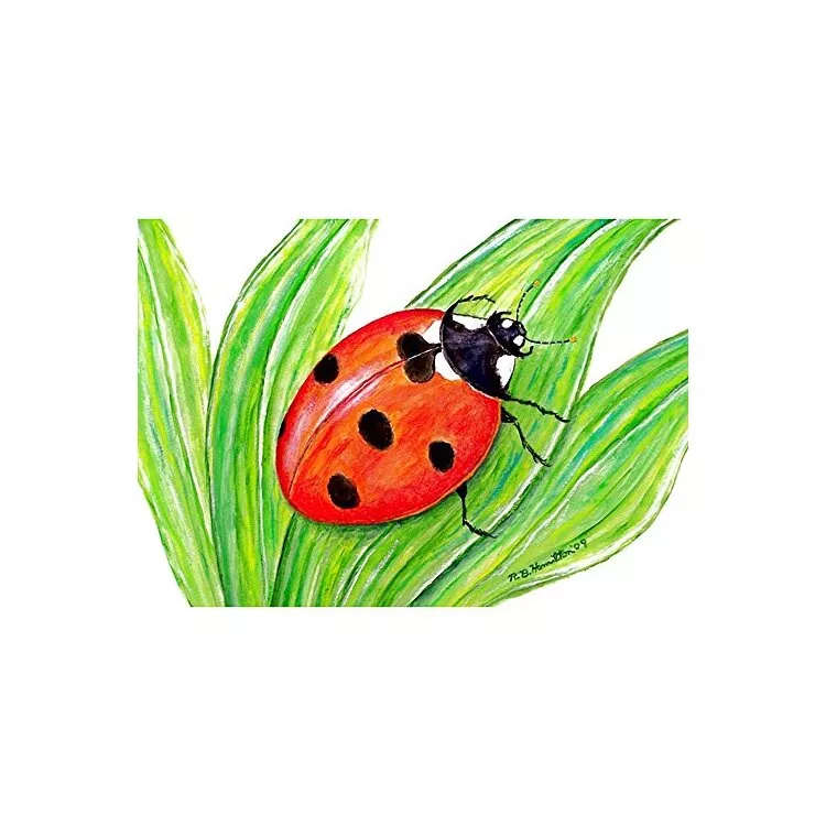 Lady Bug Door Mat 30x50