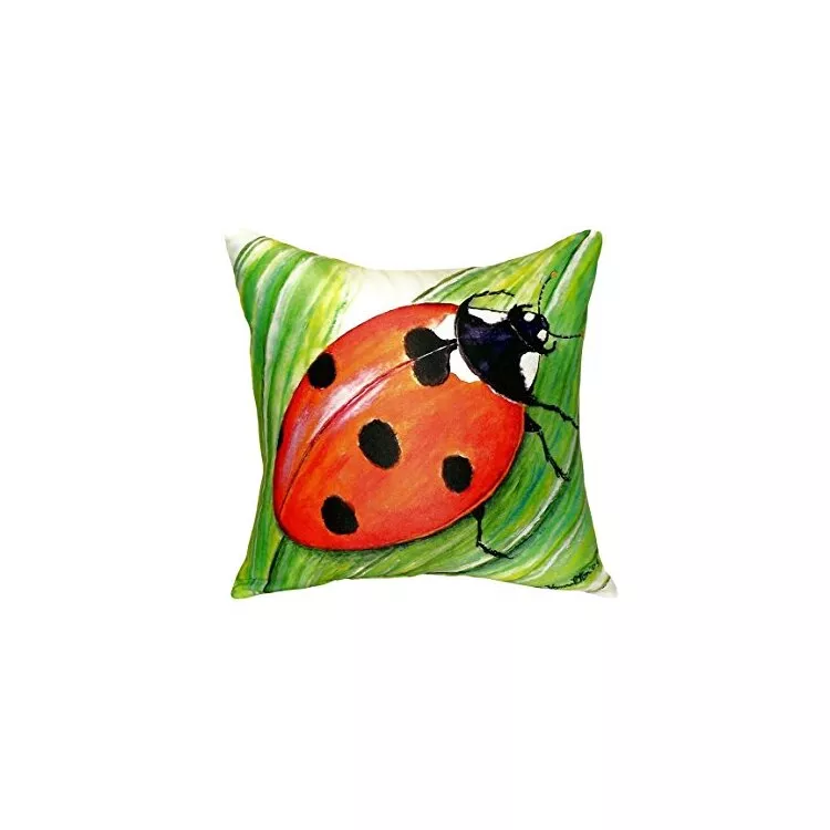 Ladybug No Cord Pillow 18x18