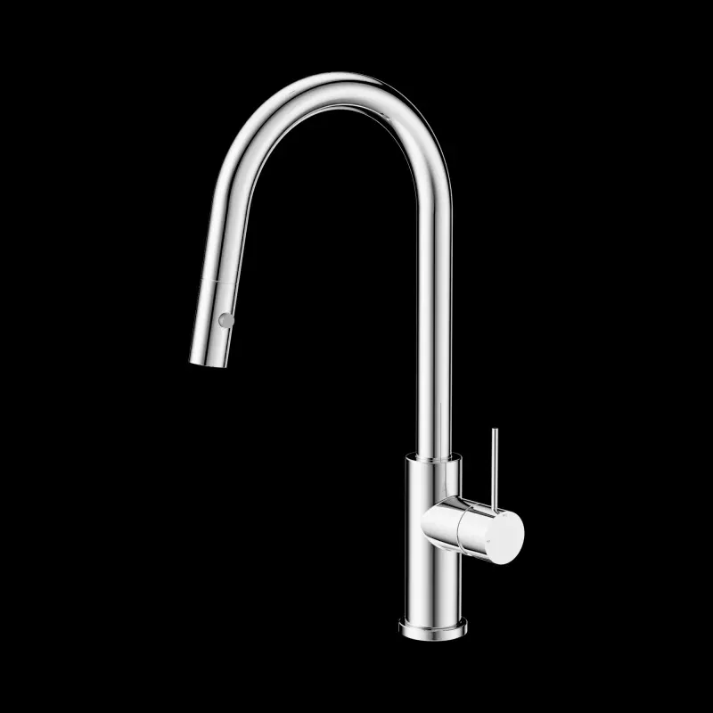 Mecca Pull Out Sink Mixer With Vegie Spray Function