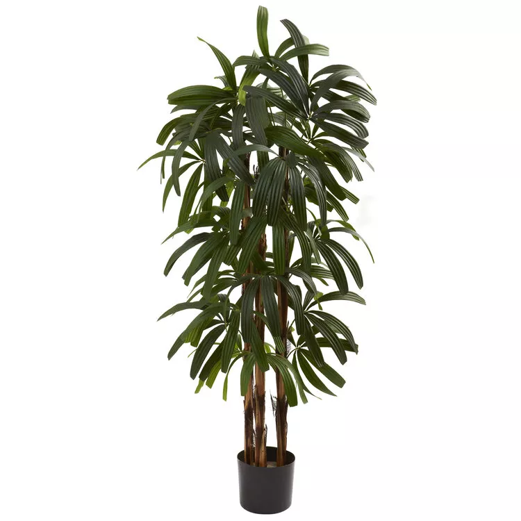 Nearly Natural 4ft. Raphis Palm Tree