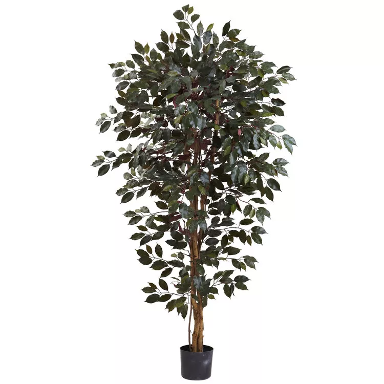 Nearly Natural 6ft. Capensia Ficus Tree
