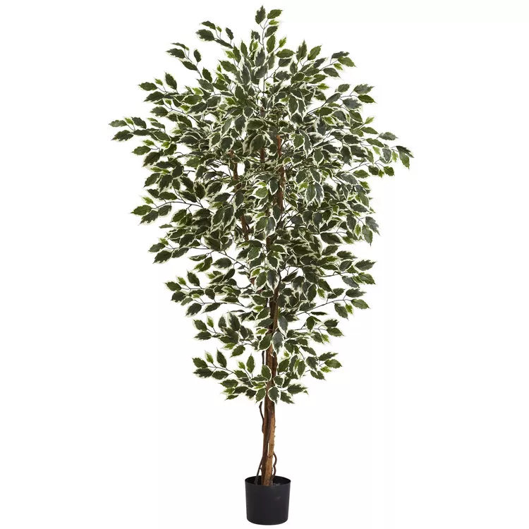 Nearly Natural 6ft. Hawaiian Ficus Tree