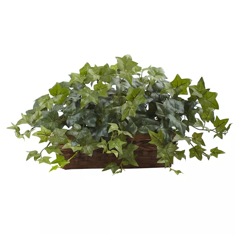 Nearly Natural Puff Ivy with Ledge Basket