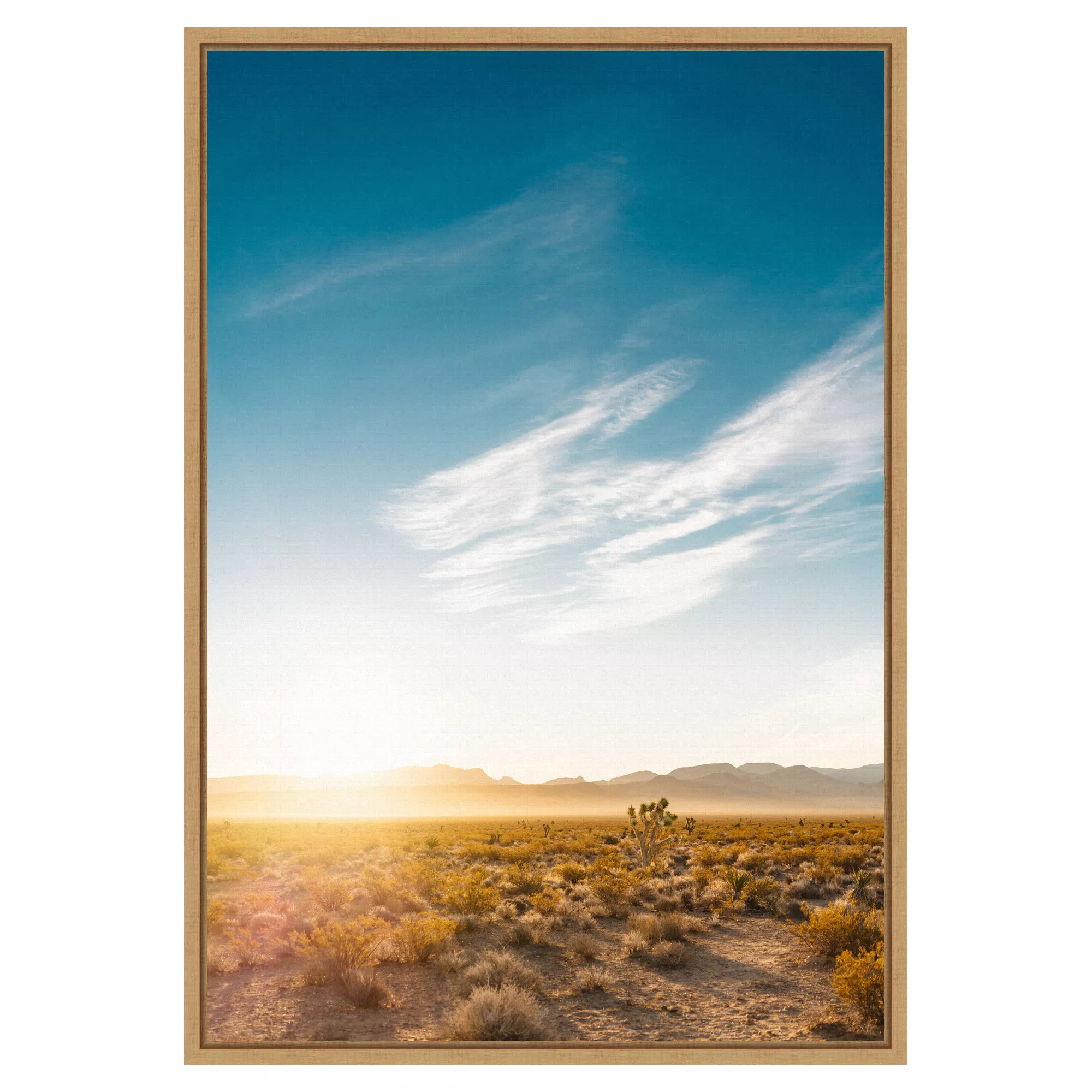 Nevada Desert Sunrise by Bethany Young Framed Canvas Wall Art