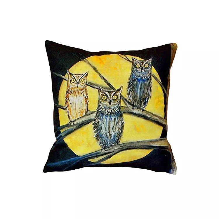 Night Owls No Cord Pillow 18x18