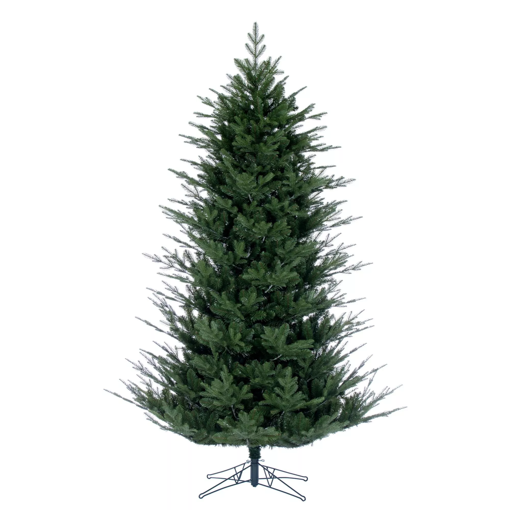 North Shore Fraser Fir