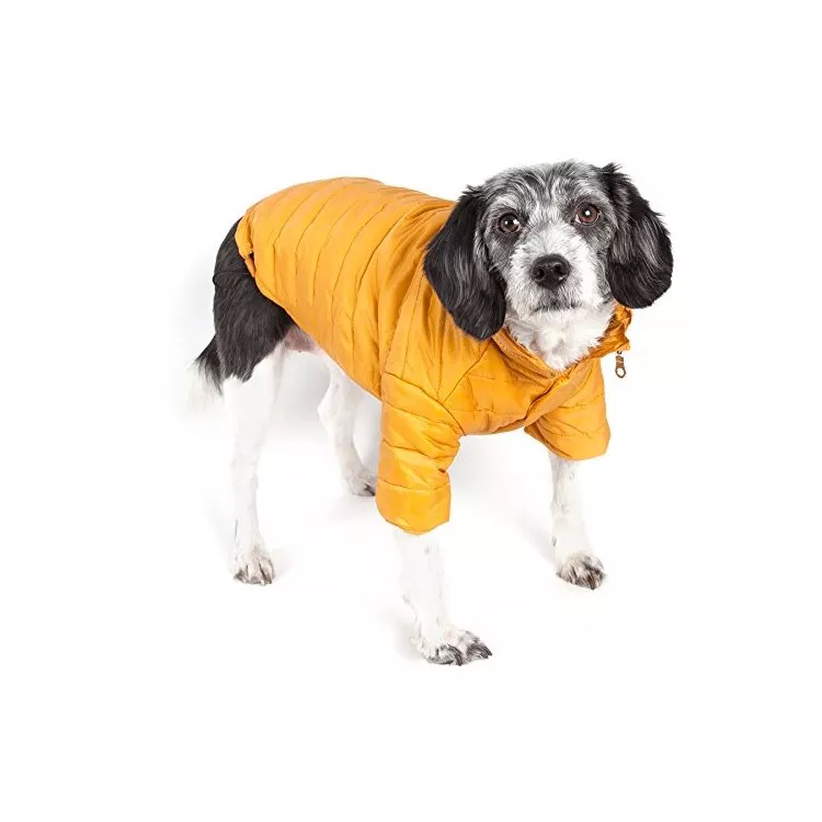 Pet Coat with Adjustable Vest & Insulation for Cold Weather Protection
