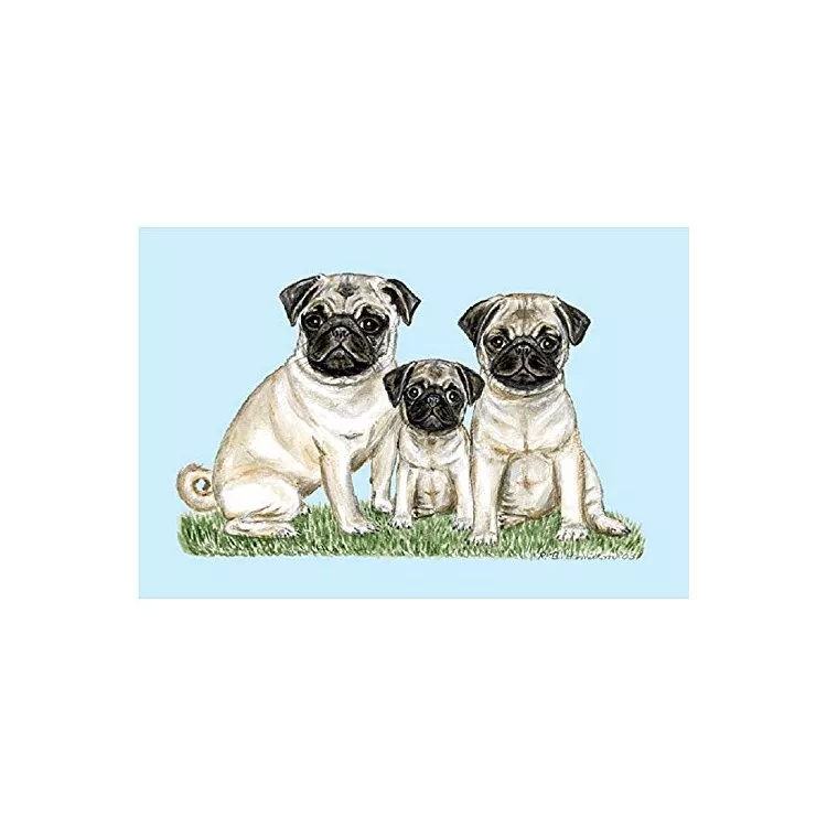 Pugs Door Mat 30x50