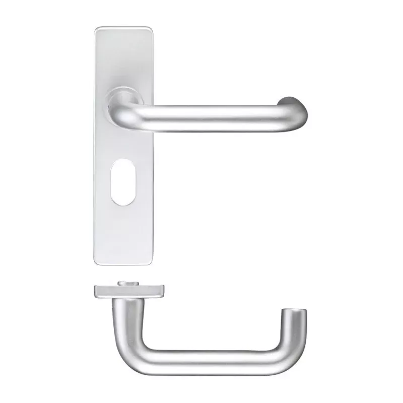 Return to Door Lever on Oval Profile Backplate (48.5mm)