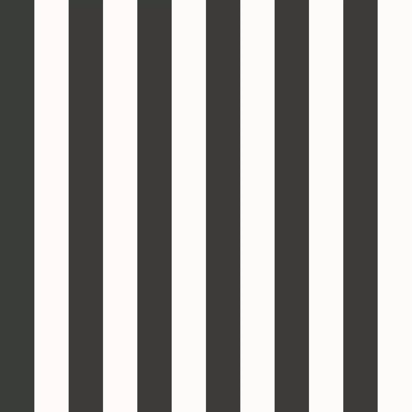 Style Sisters Thin Stripe Black Black Wallpaper SS21231