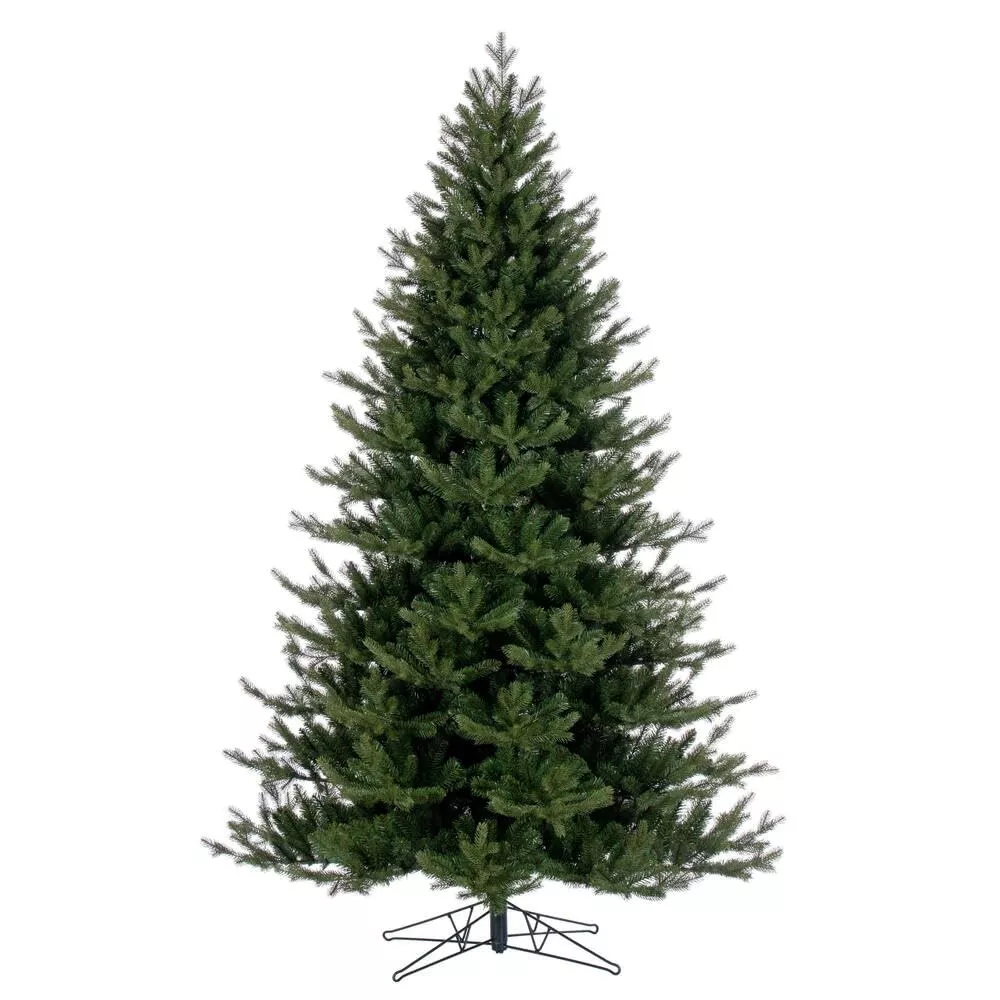 Washington Fir