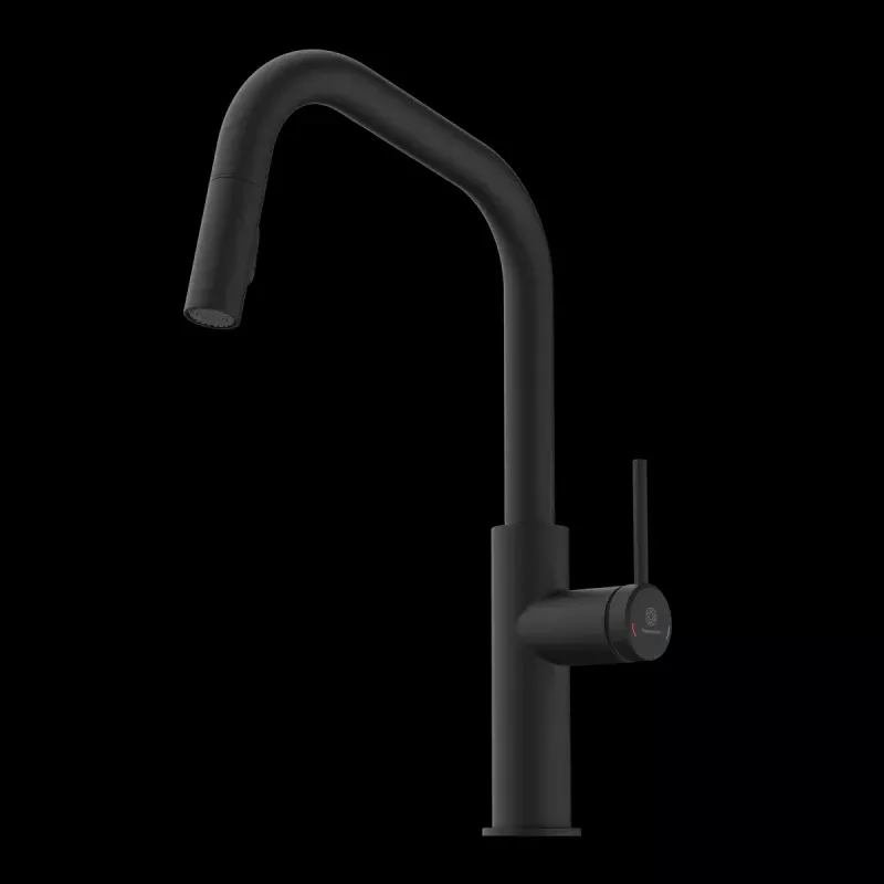 Wasserwerk Kitchen Faucet with Angled Spout Pull-Down Sprayer in Matte Black