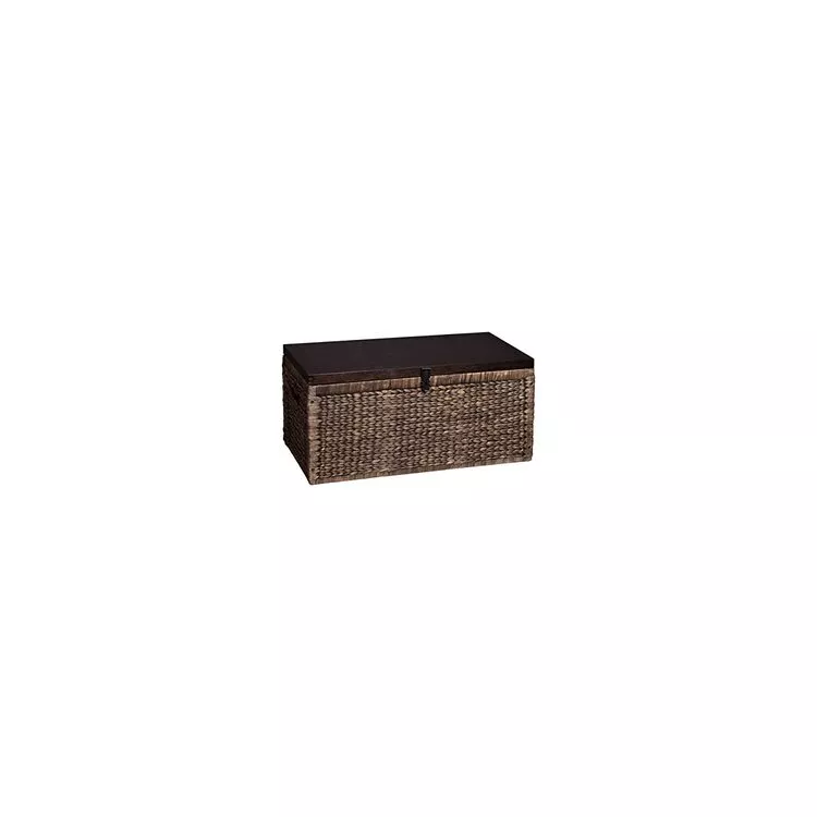 Water Hyacinth Storage Trunk